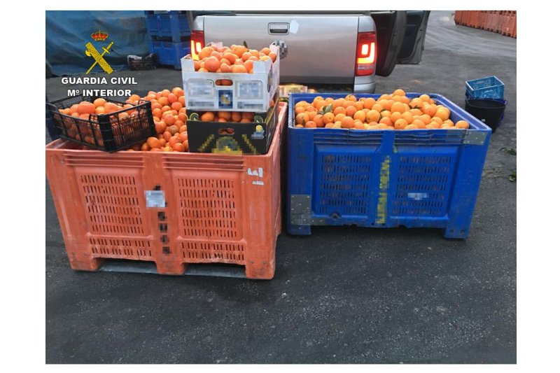 La Guardia Civil de Calp imputa a 58 personas por 48 delitos de falsificación de documentos agrícolas La Guardia Civil de Calp imputa a 58 personas por 48 delitos de falsificación de documentos agrícolas