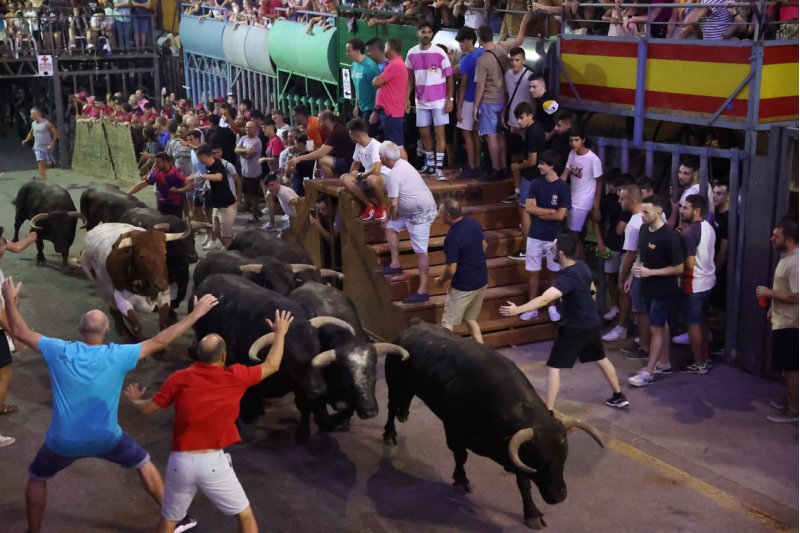 Fallece el hombre que sufrió una cogida en la primera noche de los bous al carrer de Pedreguer Fallece el hombre que sufrió una cogida en la primera noche de los bous al carrer de Pedreguer