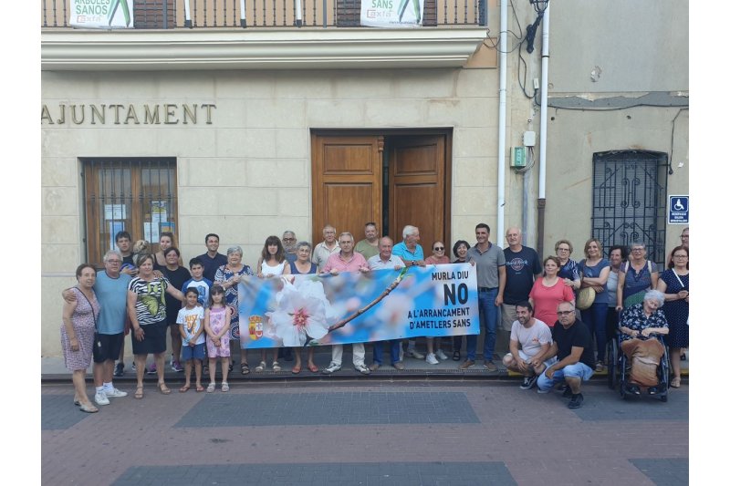 Los Ayuntamientos del Valle del Pop promueven concentraciones para pasar del plan de erradicación de la Xylella al de concentración  Los Ayuntamientos del Valle del Pop promueven concentraciones para pasar del plan de erradicación de la Xylella al de concentración