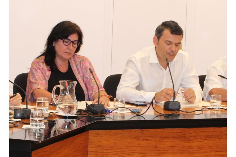 El TSJ rechaza el recurso del PP de Dénia contra el requisito lingüístico El TSJ rechaza el recurso del PP de Dénia contra el requisito lingüístico