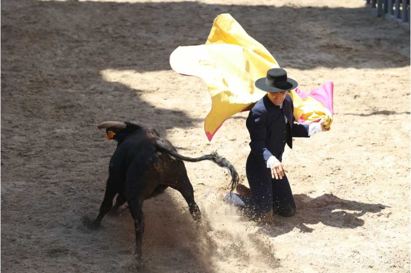 Pedreguer, catedral dels bous al carrer i bressol de toreros i retalladors  Pedreguer, catedral dels bous al carrer i bressol de toreros i retalladors