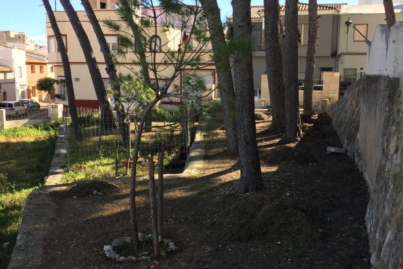 El Ayuntamiento de Ondara impulsa la rehabilitación del patio del antiguo colegio Els Pins El Ayuntamiento de Ondara impulsa la rehabilitación del patio del antiguo colegio Els Pins