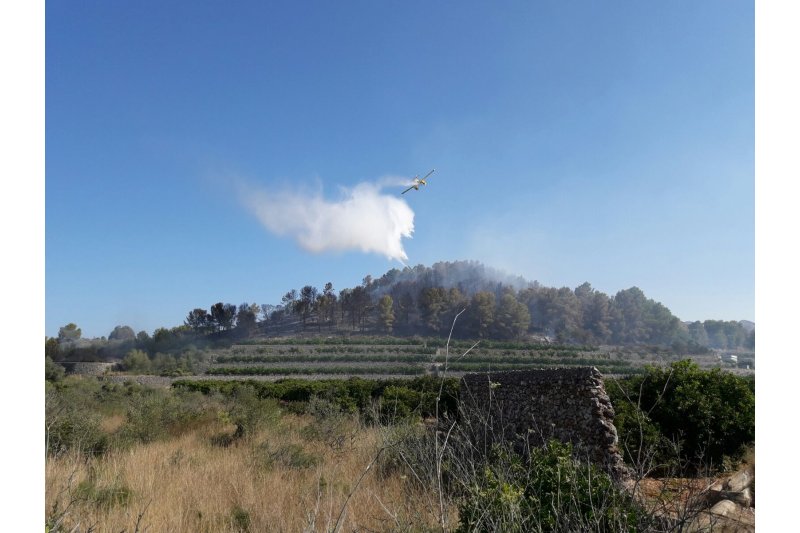 Controlado el incendio en la Marjal de Pego Controlado el incendio en la Marjal de Pego