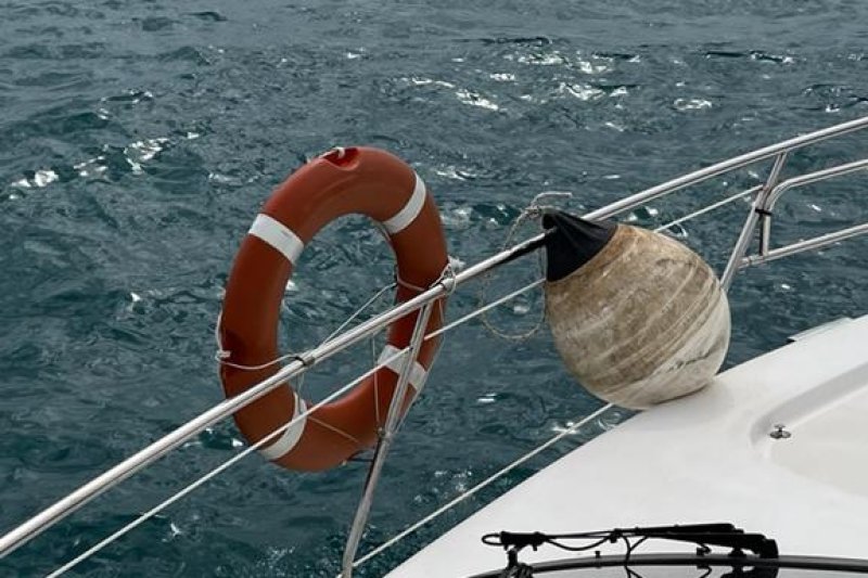 Avistan varios ejemplares de delfines y rorcuales en Dénia Avistan varios ejemplares de delfines y rorcuales en Dénia