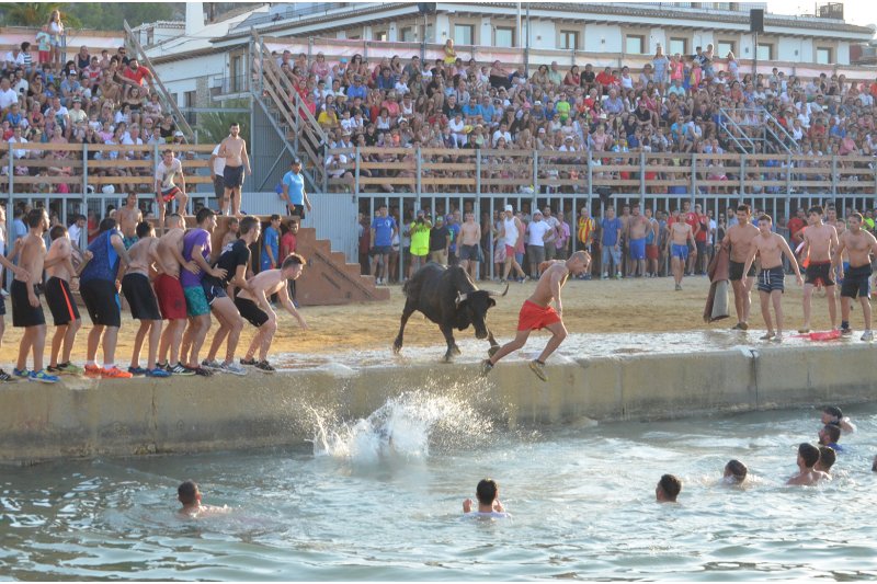 Varias entidades animalistas piden una consulta popular para suprimir la fiesta de Bous la Mar  Varias entidades animalistas piden una consulta popular para suprimir la fiesta de Bous la Mar