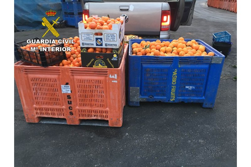 La Guardia Civil de Alicante detiene a ocho personas por introducir 191 toneladas de naranja ilegal en el mercado La Guardia Civil de Alicante detiene a ocho personas por introducir 191 toneladas de naranja ilegal en el mercado