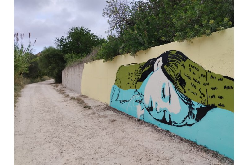 La Regidoria de Transició Ecològica de Pego reprèn l’habilitació del itinerari saludable per la Marjal La Regidoria de Transició Ecològica de Pego reprèn l’habilitació del itinerari saludable per la Marjal