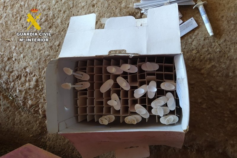 La Guardia Civil detecta un grupo que vendía medicamentos veterinarios de forma ilegal  La Guardia Civil detecta un grupo que vendía medicamentos veterinarios de forma ilegal