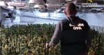Un restaurante de Teulada era la tapadera de un gran cultivo de marihuana oculto en el sótano  Un restaurante de Teulada era la tapadera de un gran cultivo de marihuana oculto en el sótano