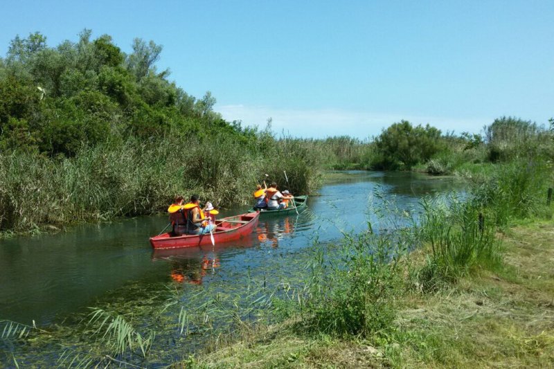 Pego pone en marcha una nueva campaña de itinerarios interpretativos en barca por la marjal de cara al verano Pego pone en marcha una nueva campaña de itinerarios interpretativos en barca por la marjal de cara al verano