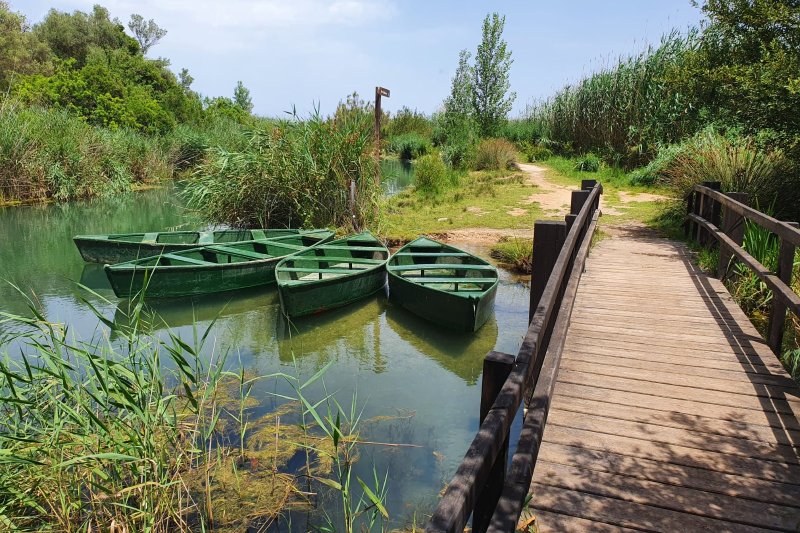 Pego pone en marcha una nueva campaña de itinerarios interpretativos en barca por la marjal de cara al verano Pego pone en marcha una nueva campaña de itinerarios interpretativos en barca por la marjal de cara al verano
