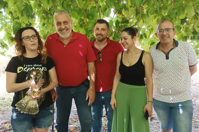 Una nueva docena de polluelos procedentes de Escocia refuerzan el proyecto de recuperació del águila pescadora en la marjal de Pego Una nueva docena de polluelos procedentes de Escocia refuerzan el proyecto de recuperació del águila pescadora en la marjal de Pego