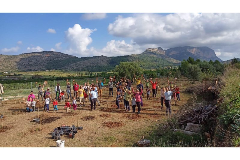 El Ayuntamiento de Pedreguer y Fundem convierten 27.000 m² de terreno degradado en un bosque mediterráneo El Ayuntamiento de Pedreguer y Fundem convierten 27.000 m² de terreno degradado en un bosque mediterráneo