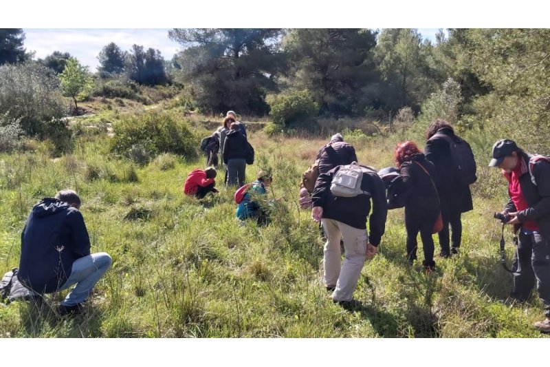 Una excursión de Podemos para descubrir las orquídeas de Xàbia Una excursión de Podemos para descubrir las orquídeas de Xàbia