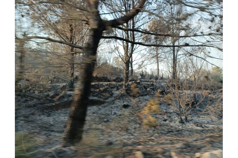 El Consorcio Provincial de Bomberos declara extinguido el incendio que arrasó el interior norte de la Marina Alta casi quince días después El Consorcio Provincial de Bomberos declara extinguido el incendio que arrasó el interior norte de la Marina Alta casi quince días después