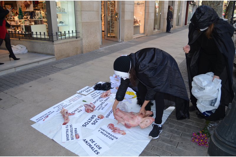 Performances en defensa de los animales en Dénia Performances en defensa de los animales en Dénia