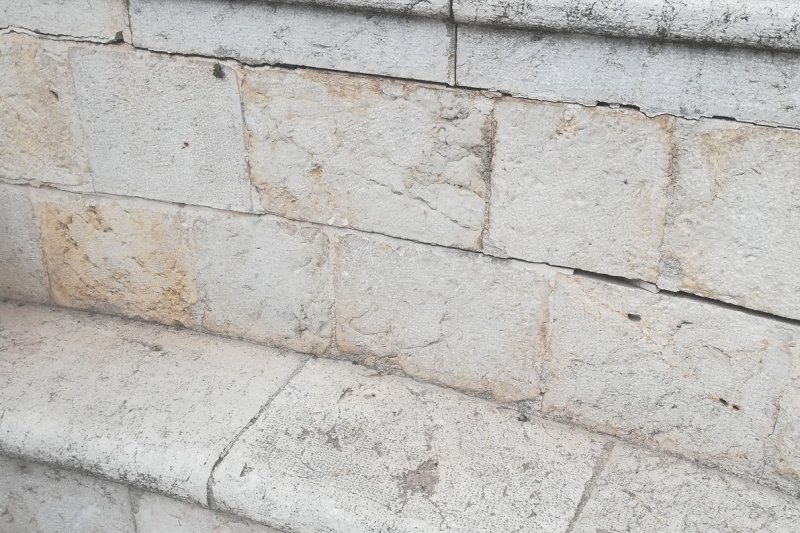 El arbolado de la Font de la Carxofa de Ondara será trasplantado para garantizar su restauración El arbolado de la Font de la Carxofa de Ondara será trasplantado para garantizar su restauración