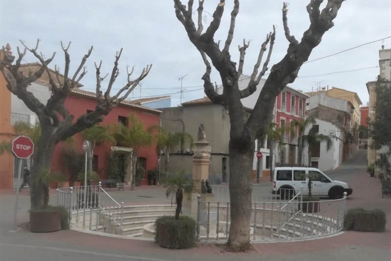 El arbolado de la Font de la Carxofa de Ondara será trasplantado para garantizar su restauración El arbolado de la Font de la Carxofa de Ondara será trasplantado para garantizar su restauración