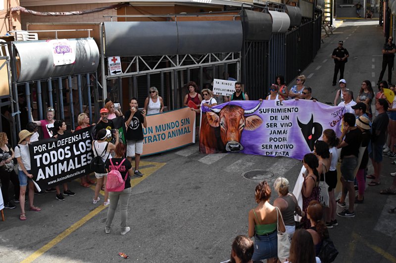 La Plaza Mayor de Pedreguer se llena de gritos contra el maltrato animal y los bous al carrer en la primera manifestación antitaurina La Plaza Mayor de Pedreguer se llena de gritos contra el maltrato animal y los bous al carrer en la primera manifestación antitaurina
