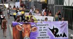 La Plaza Mayor de Pedreguer se llena de gritos contra el maltrato animal y los bous al carrer en la primera manifestación antitaurina La Plaza Mayor de Pedreguer se llena de gritos contra el maltrato animal y los bous al carrer en la primera manifestación antitaurina