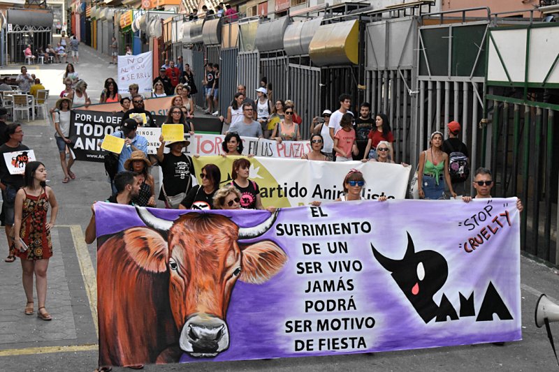 La Plaza Mayor de Pedreguer se llena de gritos contra el maltrato animal y los bous al carrer en la primera manifestación antitaurina La Plaza Mayor de Pedreguer se llena de gritos contra el maltrato animal y los bous al carrer en la primera manifestación antitaurina