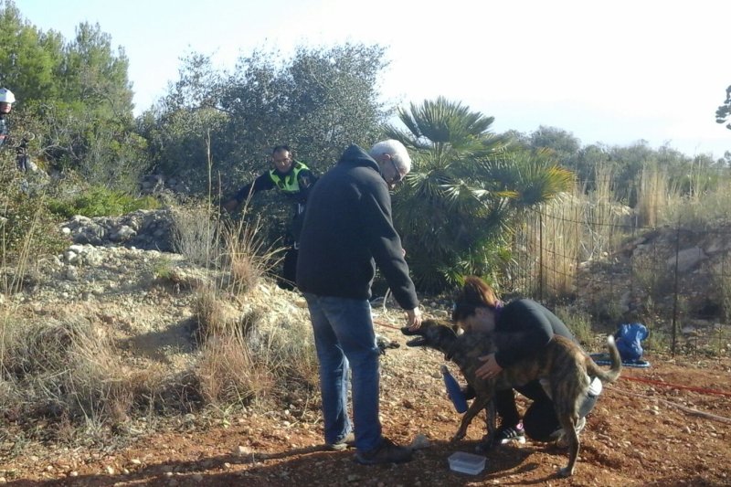 Rescatan un perro de un aljibe en Xàbia Rescatan un perro de un aljibe en Xàbia
