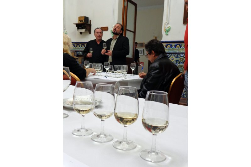 La ATEVAP propone una cata de vinos moscatel de la Vall de Pop y la Marina Alta La ATEVAP propone una cata de vinos moscatel de la Vall de Pop y la Marina Alta