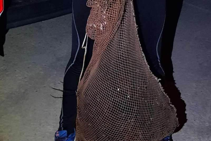 El Servicio de Guardacostas sorprende a dos furtivos con una captura de 344 erizos El Servicio de Guardacostas sorprende a dos furtivos con una captura de 344 erizos