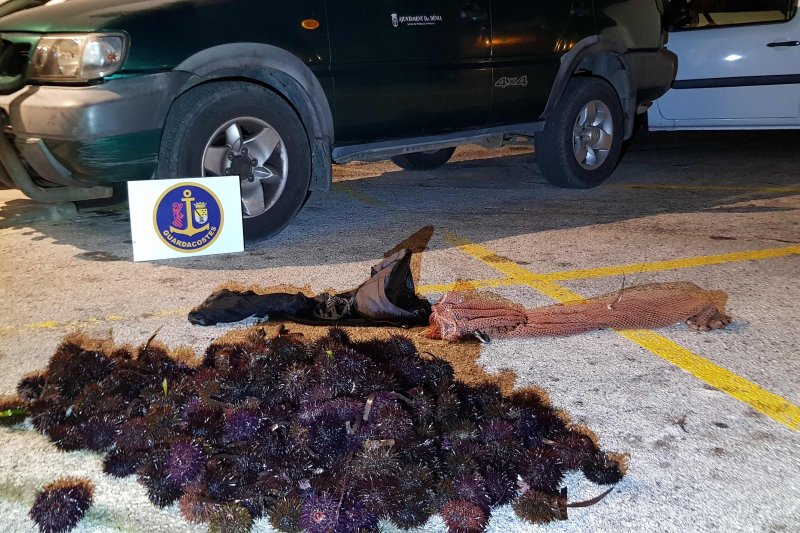 El Servicio de Guardacostas sorprende a dos furtivos con una captura de 344 erizos El Servicio de Guardacostas sorprende a dos furtivos con una captura de 344 erizos