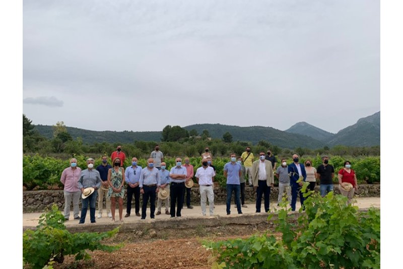 Apoyo de los municipios de la comarca al moscatell Apoyo de los municipios de la comarca al moscatell