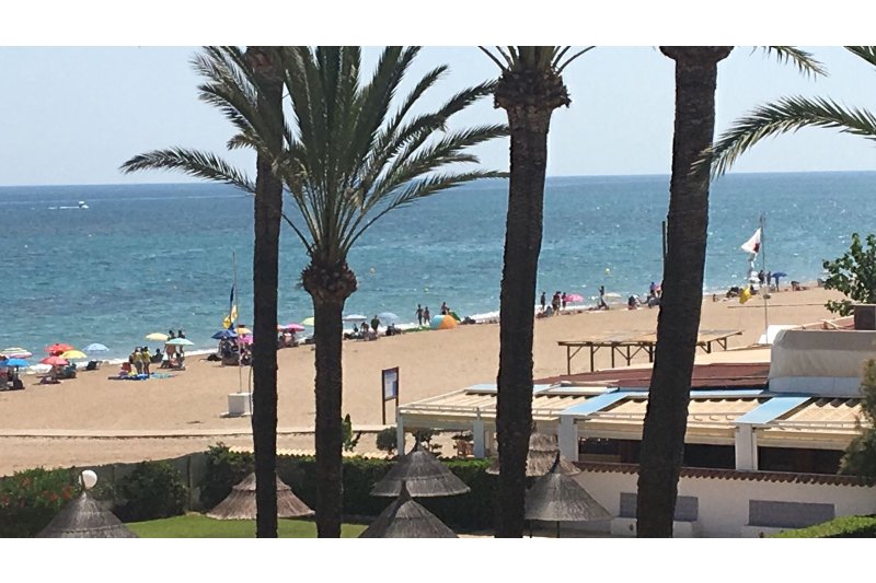 Bandera amarilla en las playas de Les Bovetes, Els Molins y l'Almadrava tras detectarse carabelas  portuguesas  Bandera amarilla en las playas de Les Bovetes, Els Molins y l'Almadrava tras detectarse carabelas  portuguesas
