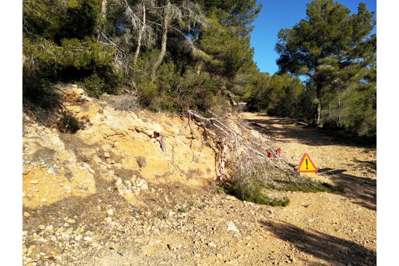 Diputación mejora la masa forestal de la Serra d’Oltà Diputación mejora la masa forestal de la Serra d’Oltà