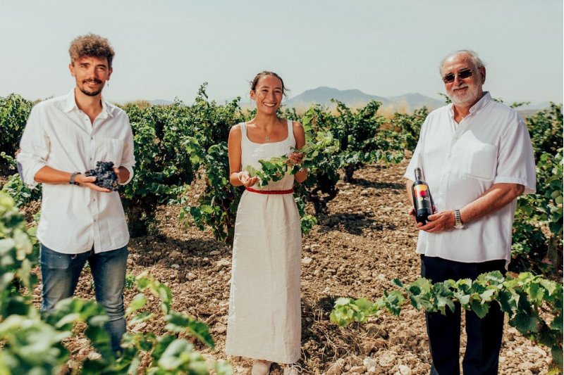 Una añada 2020 Excelente en la DOP Alicante Una añada 2020 Excelente en la DOP Alicante