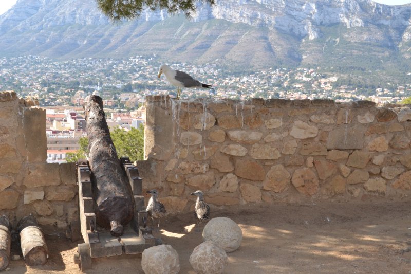 Un guardia apodado Harris Un guardia apodado Harris