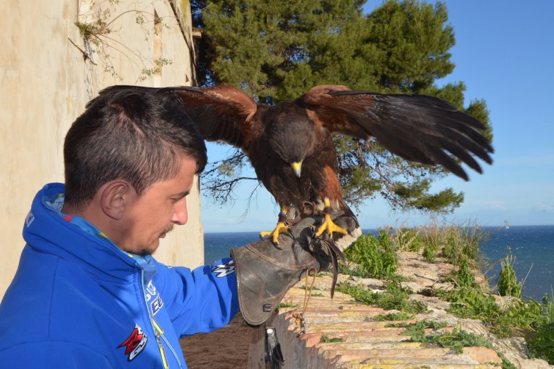 Un guardia apodado Harris Un guardia apodado Harris