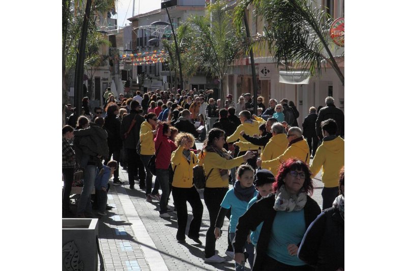 Bendición de animales y hogueras para celebrar la fiesta de Sant Antoni en Benissa Bendición de animales y hogueras para celebrar la fiesta de Sant Antoni en Benissa