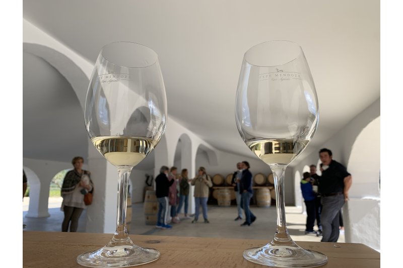 Los caldos de la Marina con DOP Vinos de Alicante, en lo más alto de la Guía Peñín Los caldos de la Marina con DOP Vinos de Alicante, en lo más alto de la Guía Peñín