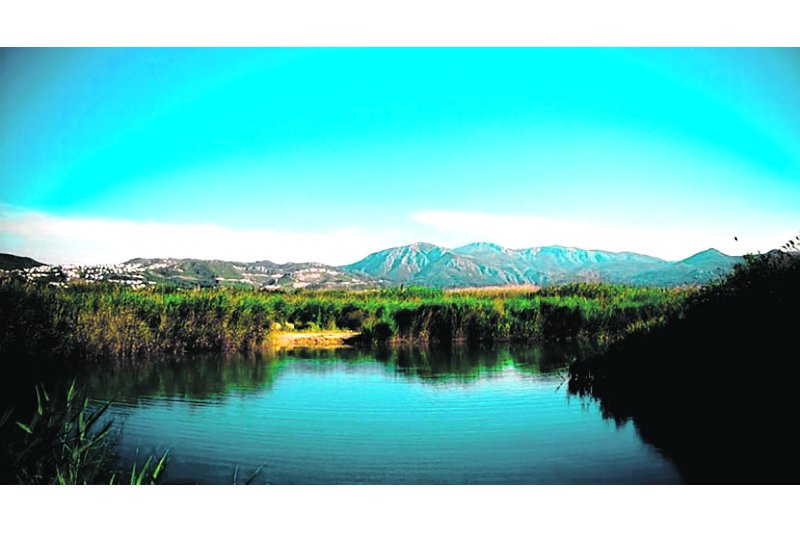 Los colectivos ecologistas levantan la voz frente a la actuación de la CHJ y los ayuntamientos ante la sequía Los colectivos ecologistas levantan la voz frente a la actuación de la CHJ y los ayuntamientos ante la sequía