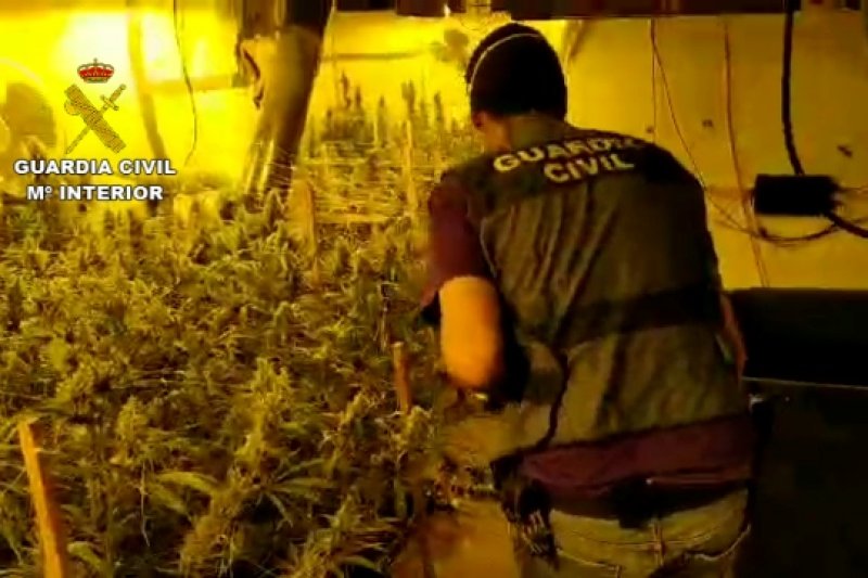 Desmantelan un grupo que distribuía marihuana por toda Europa  Desmantelan un grupo que distribuía marihuana por toda Europa