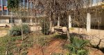 El IES Sorts de la Mar de Dénia gana un premio del Ministerio por el proyecto del jardín cultural y sostenible  El IES Sorts de la Mar de Dénia gana un premio del Ministerio por el proyecto del jardín cultural y sostenible