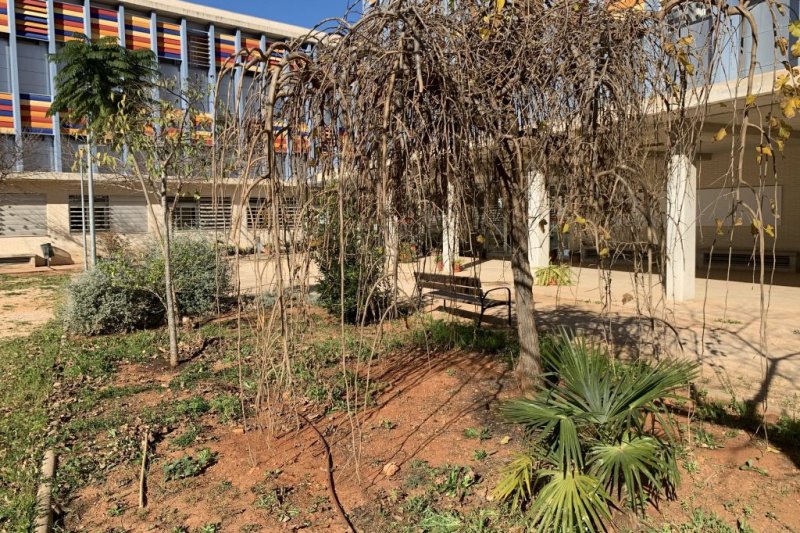 El IES Sorts de la Mar de Dénia gana un premio del Ministerio por el proyecto del jardín cultural y sostenible  El IES Sorts de la Mar de Dénia gana un premio del Ministerio por el proyecto del jardín cultural y sostenible