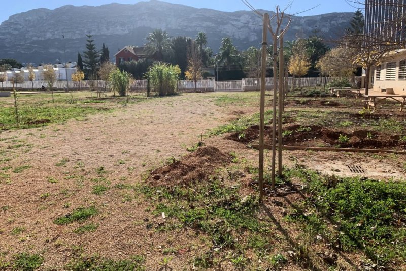 El IES Sorts de la Mar de Dénia gana un premio del Ministerio por el proyecto del jardín cultural y sostenible  El IES Sorts de la Mar de Dénia gana un premio del Ministerio por el proyecto del jardín cultural y sostenible