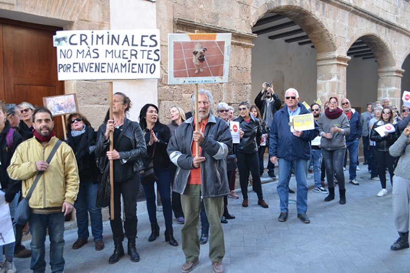 Las protectoras de animales piden medidas “urgentes y contundentes” para acabar con la muerte de perros en Benissa Las protectoras de animales piden medidas “urgentes y contundentes” para acabar con la muerte de perros en Benissa
