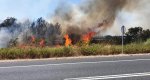 Un incendio arrasa decenas de parcelas rústicas abandonadas  en El Verger  Un incendio arrasa decenas de parcelas rústicas abandonadas  en El Verger