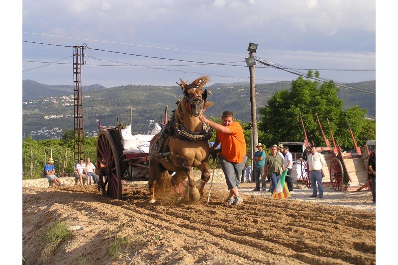 El 50 aniversari del Tir i arrossegament marca el tram inicial de les festes que Pego dedica a l’Ecce Homo El 50 aniversari del Tir i arrossegament marca el tram inicial de les festes que Pego dedica a l’Ecce Homo