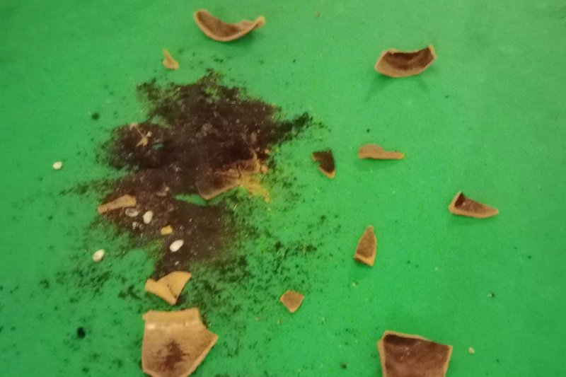 Las fiestas de Duanes no escapan al vandalismo: destrozos en la calles engalanadas Las fiestas de Duanes no escapan al vandalismo: destrozos en la calles engalanadas