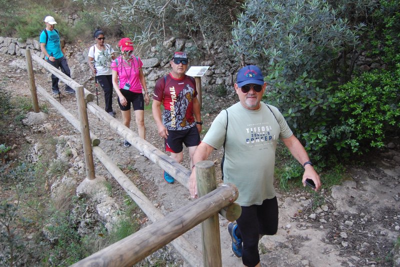 Les Regidories de Turisme, Esports i Medi Ambient de Benidoleig programen la Caminada pel Seguili 2024 per al proper dissabte Les Regidories de Turisme, Esports i Medi Ambient de Benidoleig programen la Caminada pel Seguili 2024 per al proper dissabte