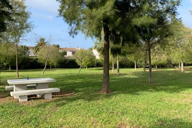 Vamos de picnic Vamos de picnic