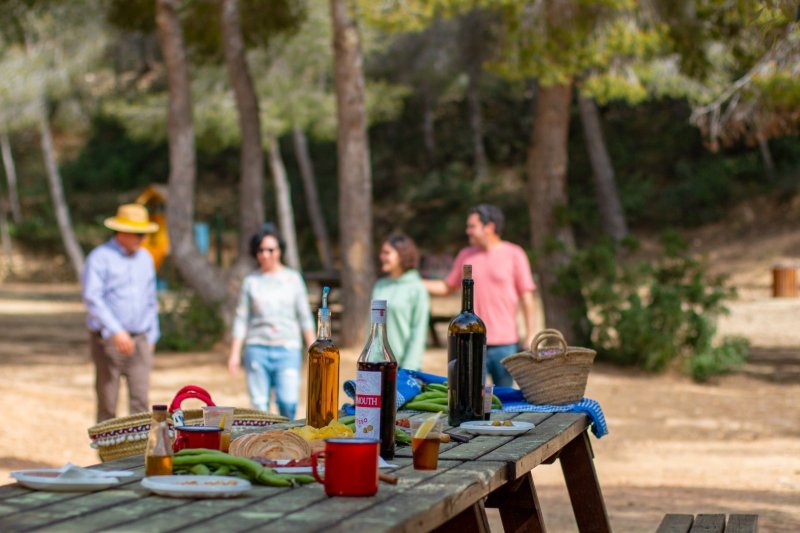 Vamos de picnic Vamos de picnic