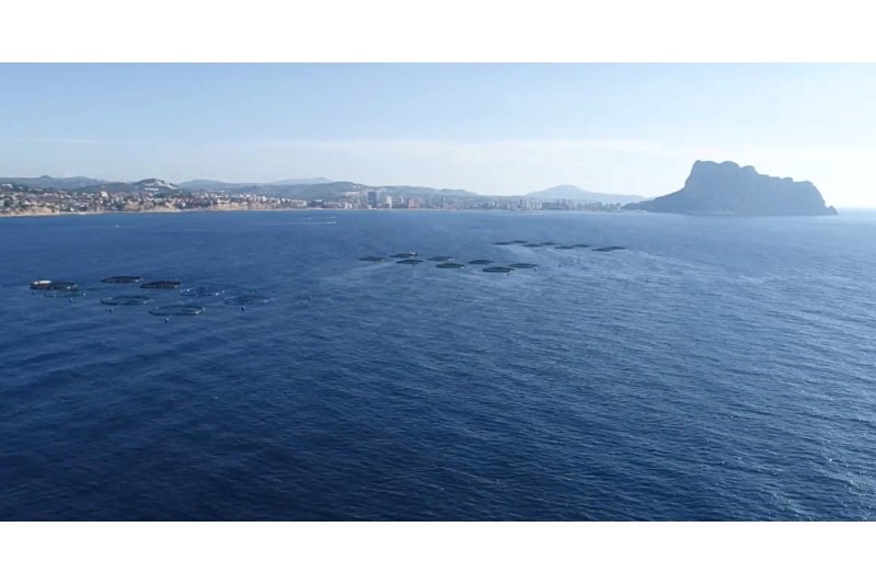 Presentado el recurso contencioso contra la ampliación de la piscifactoría de Calp Presentado el recurso contencioso contra la ampliación de la piscifactoría de Calp